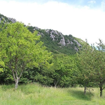 Villa Nona Tamara With Astonishing Sea & Mountains View Bribir  Luaran gambar